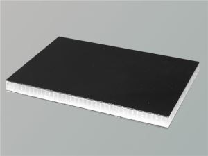 Polipropylenowe Honeycomb Core Frp panele