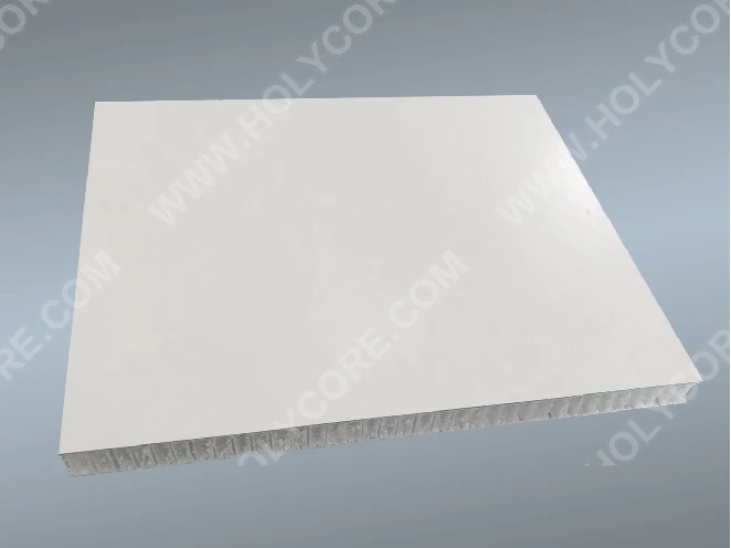 Customized High Quality Portable Storage Boxes made of FRP/CFRT PP Honeycomb Panel